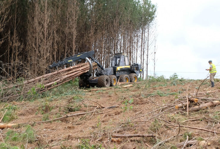 Rückesystem für den Ponsse Bear