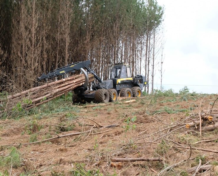 Rückesystem für den Ponsse Bear